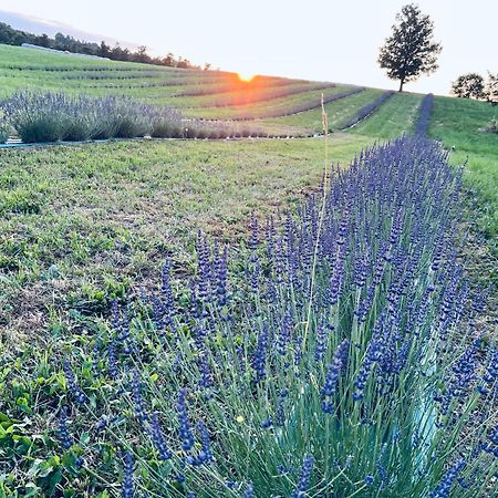 La Baita Nei Boschi Villa Serramazzoni Luaran gambar