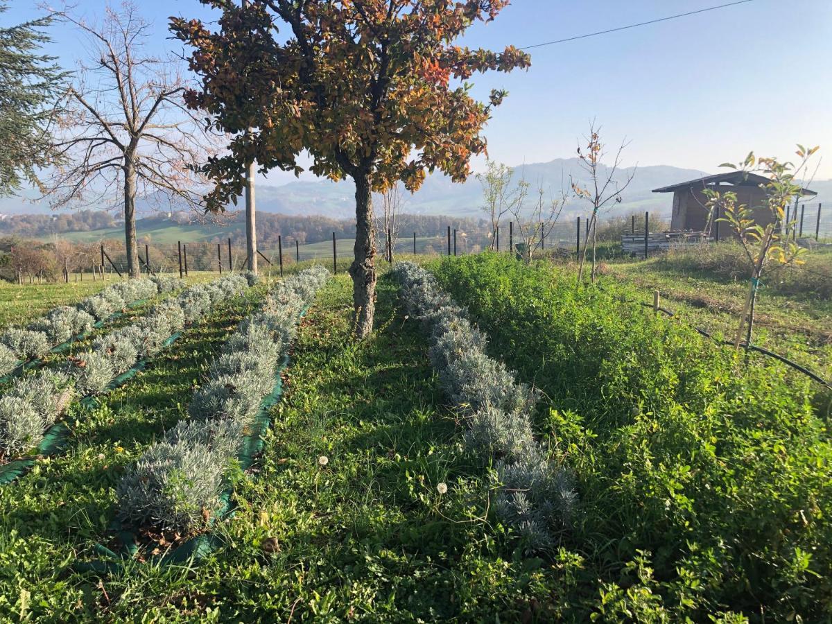 La Baita Nei Boschi Villa Serramazzoni Luaran gambar