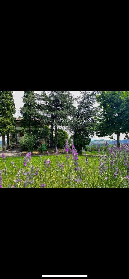 La Baita Nei Boschi Villa Serramazzoni Luaran gambar
