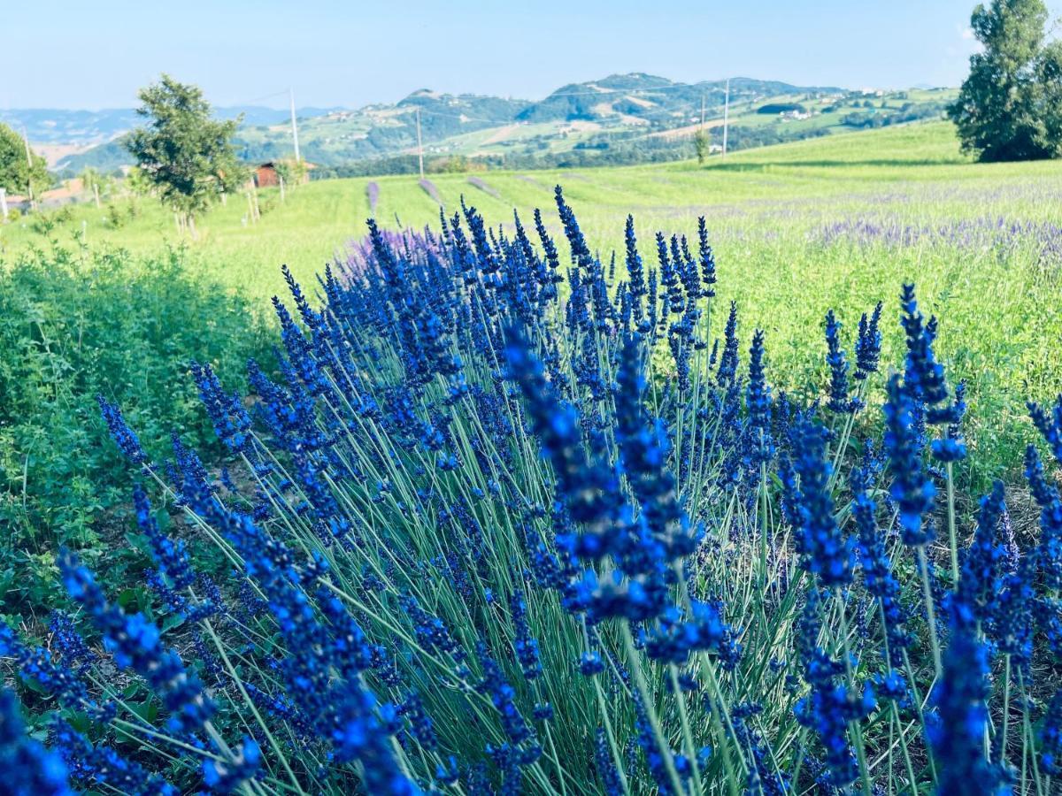 La Baita Nei Boschi Villa Serramazzoni Luaran gambar