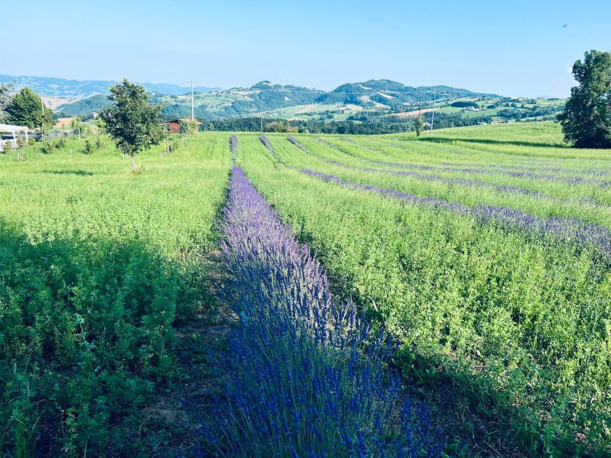 La Baita Nei Boschi Villa Serramazzoni Luaran gambar
