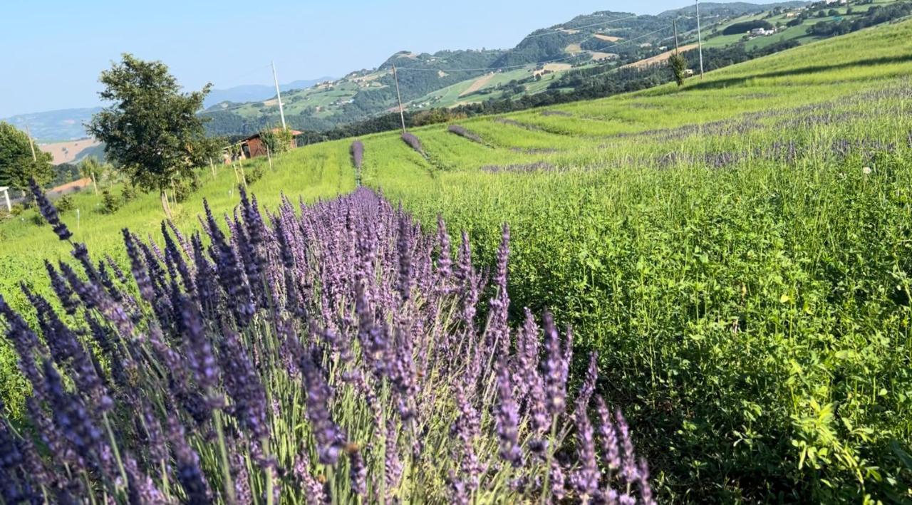 La Baita Nei Boschi Villa Serramazzoni Luaran gambar