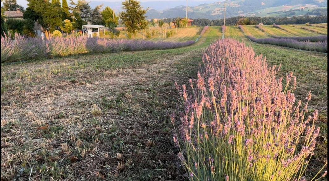 La Baita Nei Boschi Villa Serramazzoni Luaran gambar
