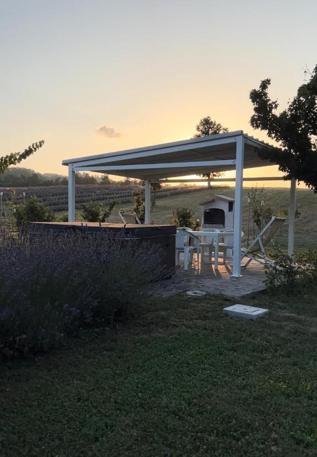 La Baita Nei Boschi Villa Serramazzoni Luaran gambar