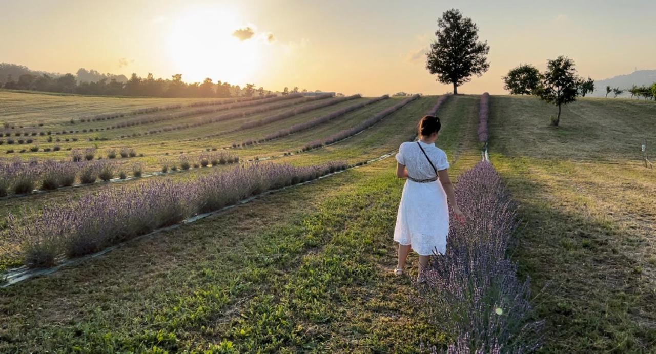 La Baita Nei Boschi Villa Serramazzoni Luaran gambar