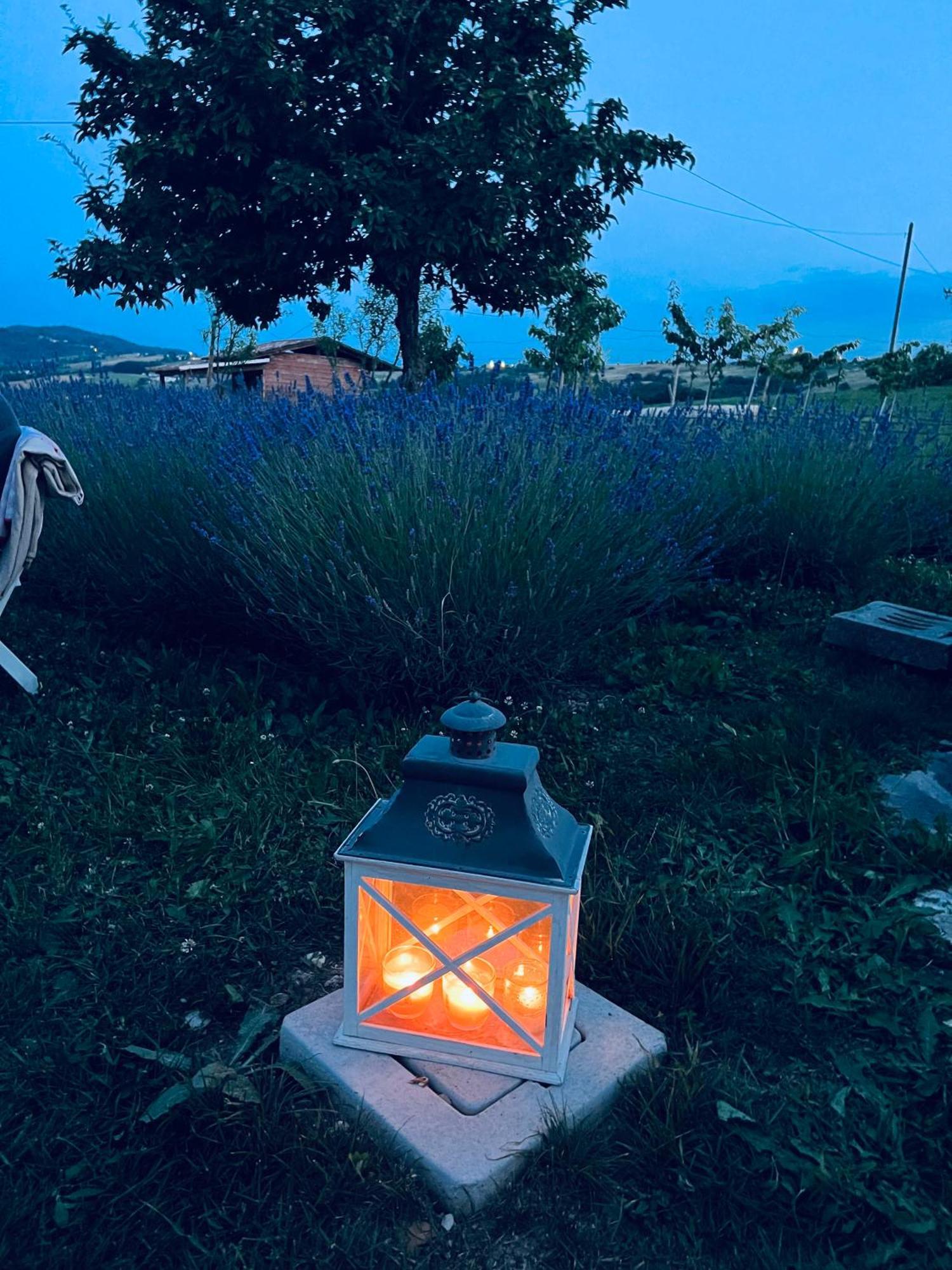 La Baita Nei Boschi Villa Serramazzoni Luaran gambar