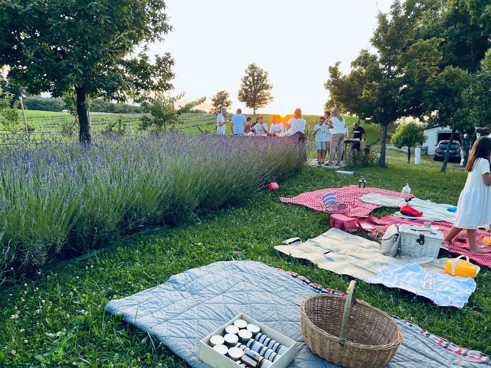 La Baita Nei Boschi Villa Serramazzoni Luaran gambar