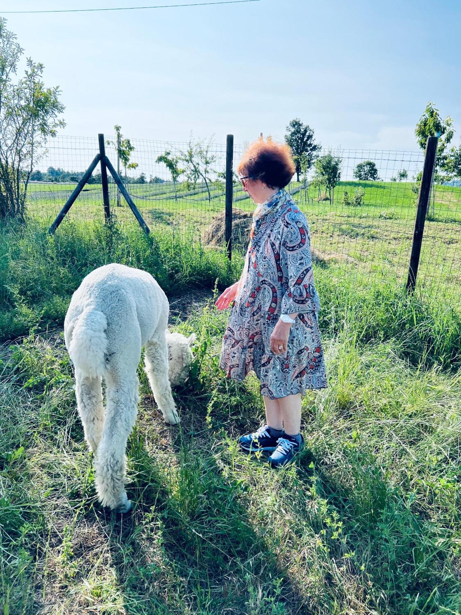 La Baita Nei Boschi Villa Serramazzoni Luaran gambar