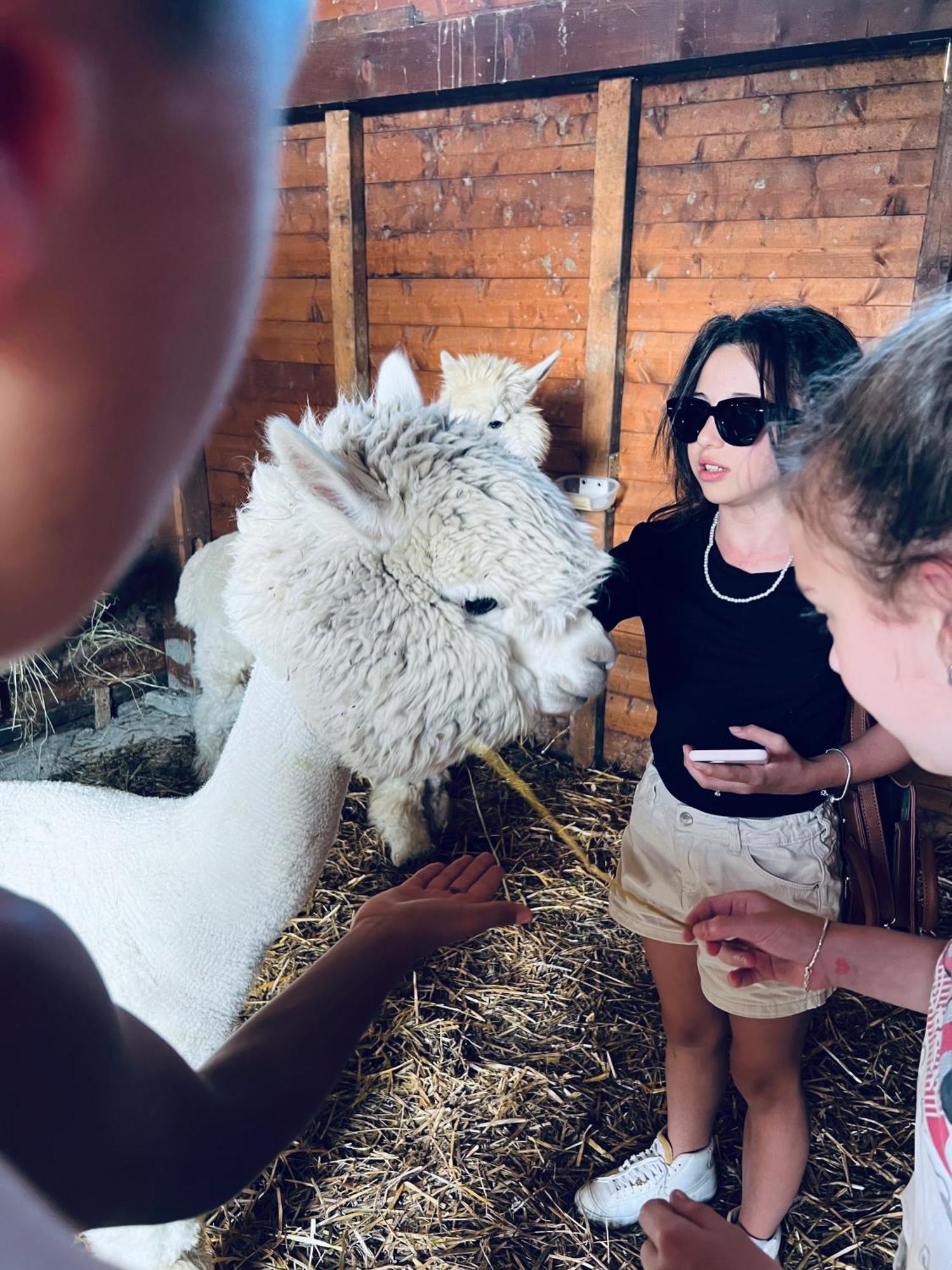 La Baita Nei Boschi Villa Serramazzoni Luaran gambar